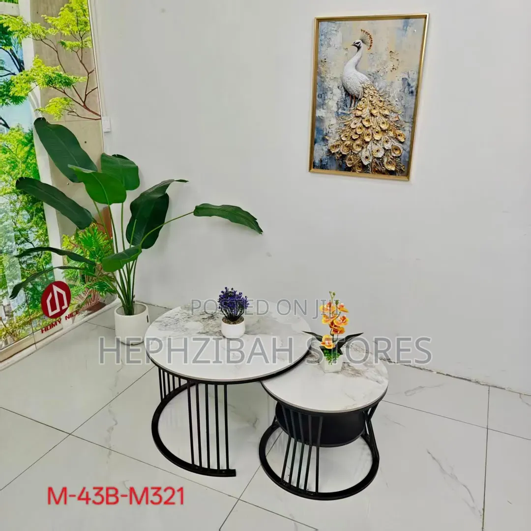 2in1 Beautiful Modern Aesthetic Center Table With Under Storage