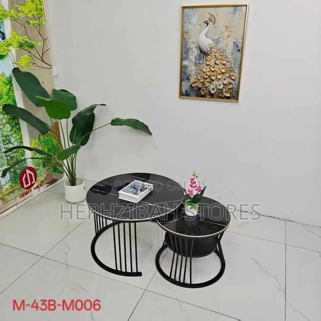 2in1 Beautiful Modern Aesthetic Center Table With Under Storage
