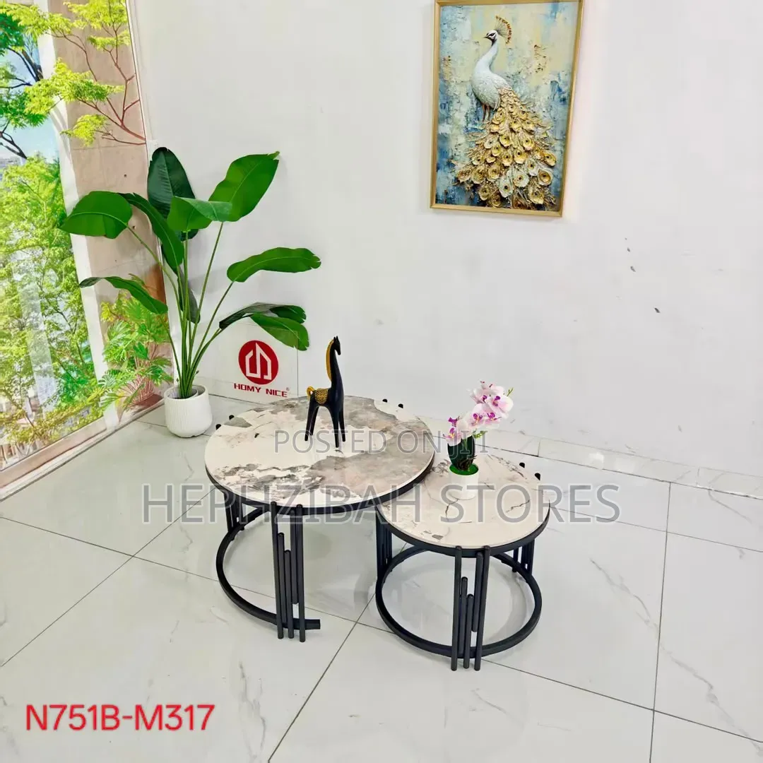 2in1 Beautiful Modern Aesthetic Center Table With Under Storage