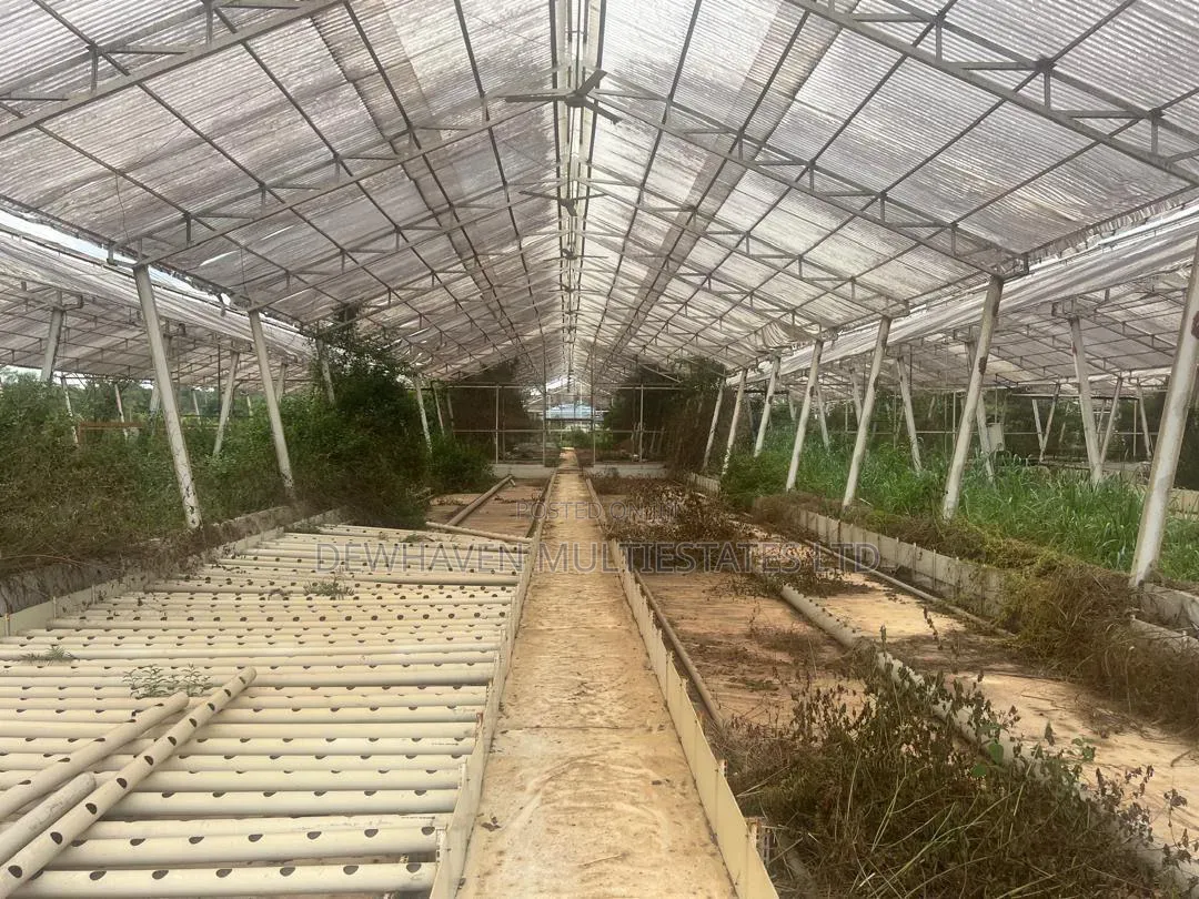 Warehouses With Large Compound for Sale