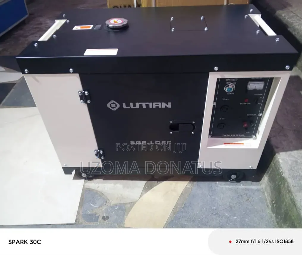 Lutian Copper Diesel Generator 10kv