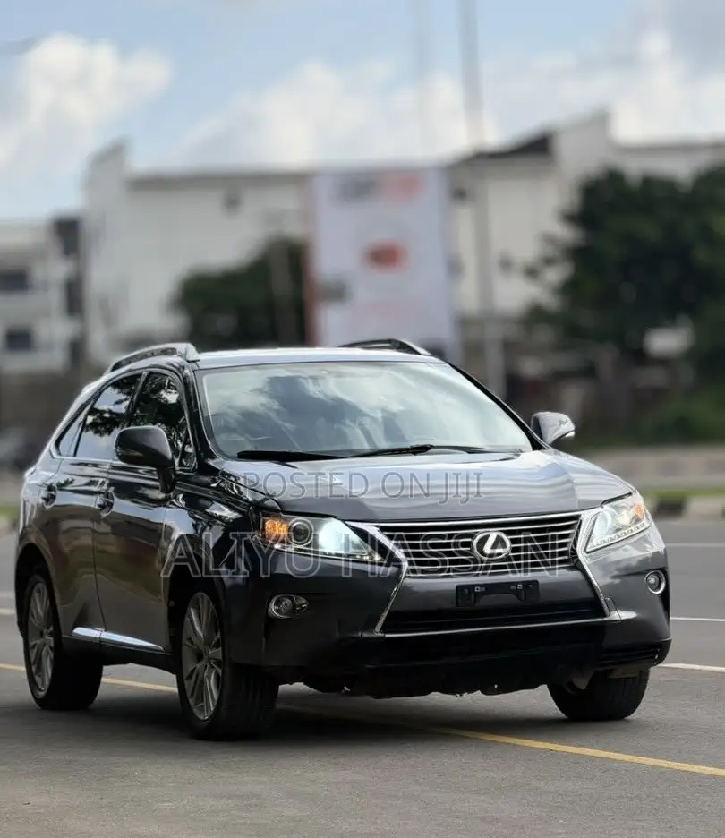 Lexus RX 2013 Gray