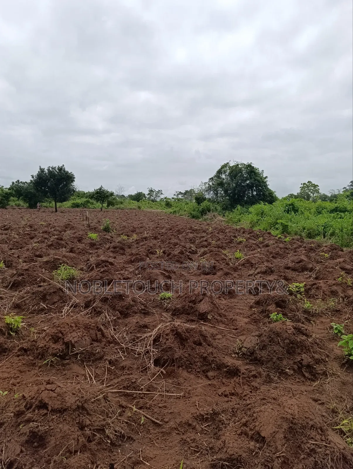 Industrial Farmland at Awowo Ogun State