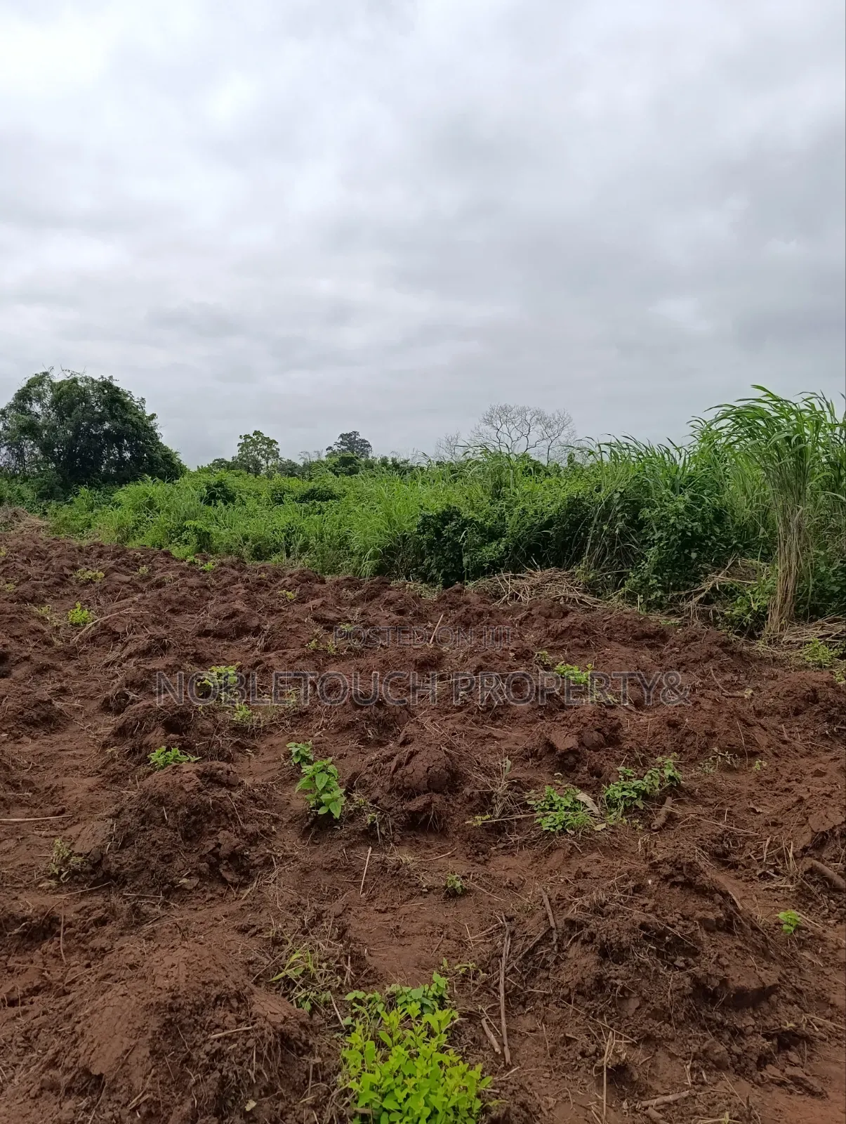Industrial Farmland at Awowo Ogun State