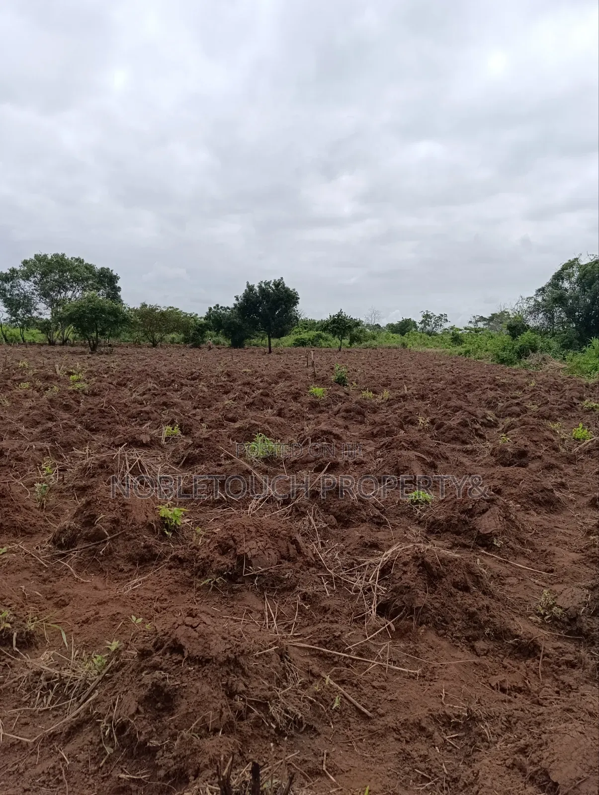 Industrial Farmland at Awowo Ogun State