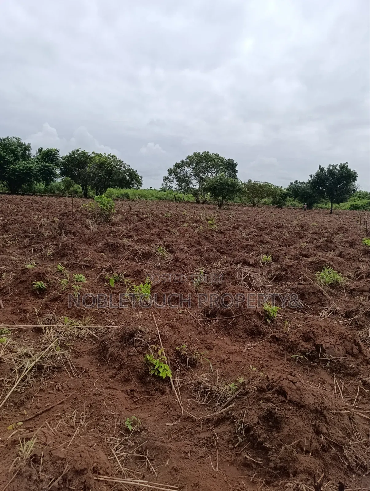Industrial Farmland at Awowo Ogun State