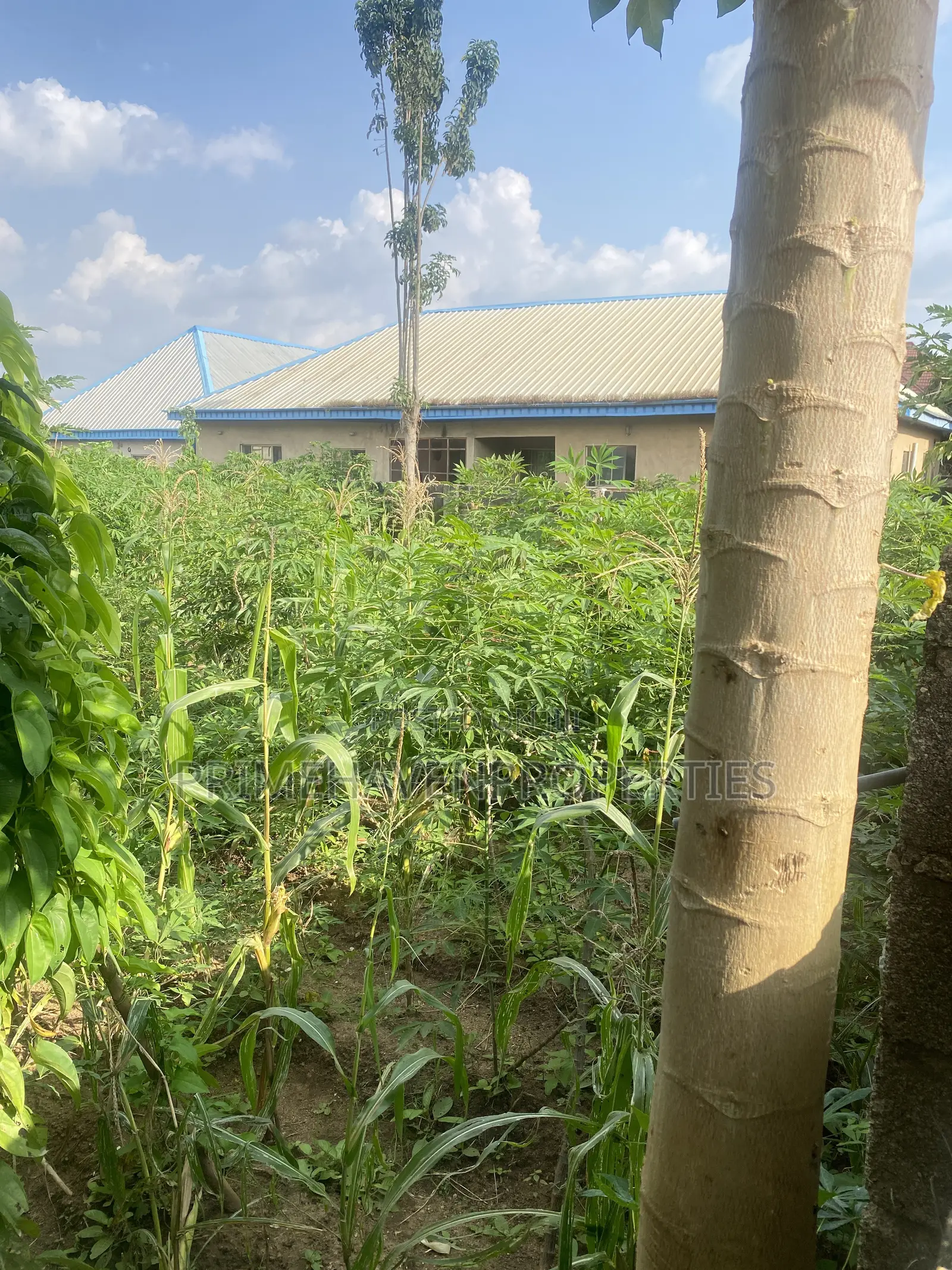 Hot Flat Land for Sale at Arab Road, Kubwa Abuja