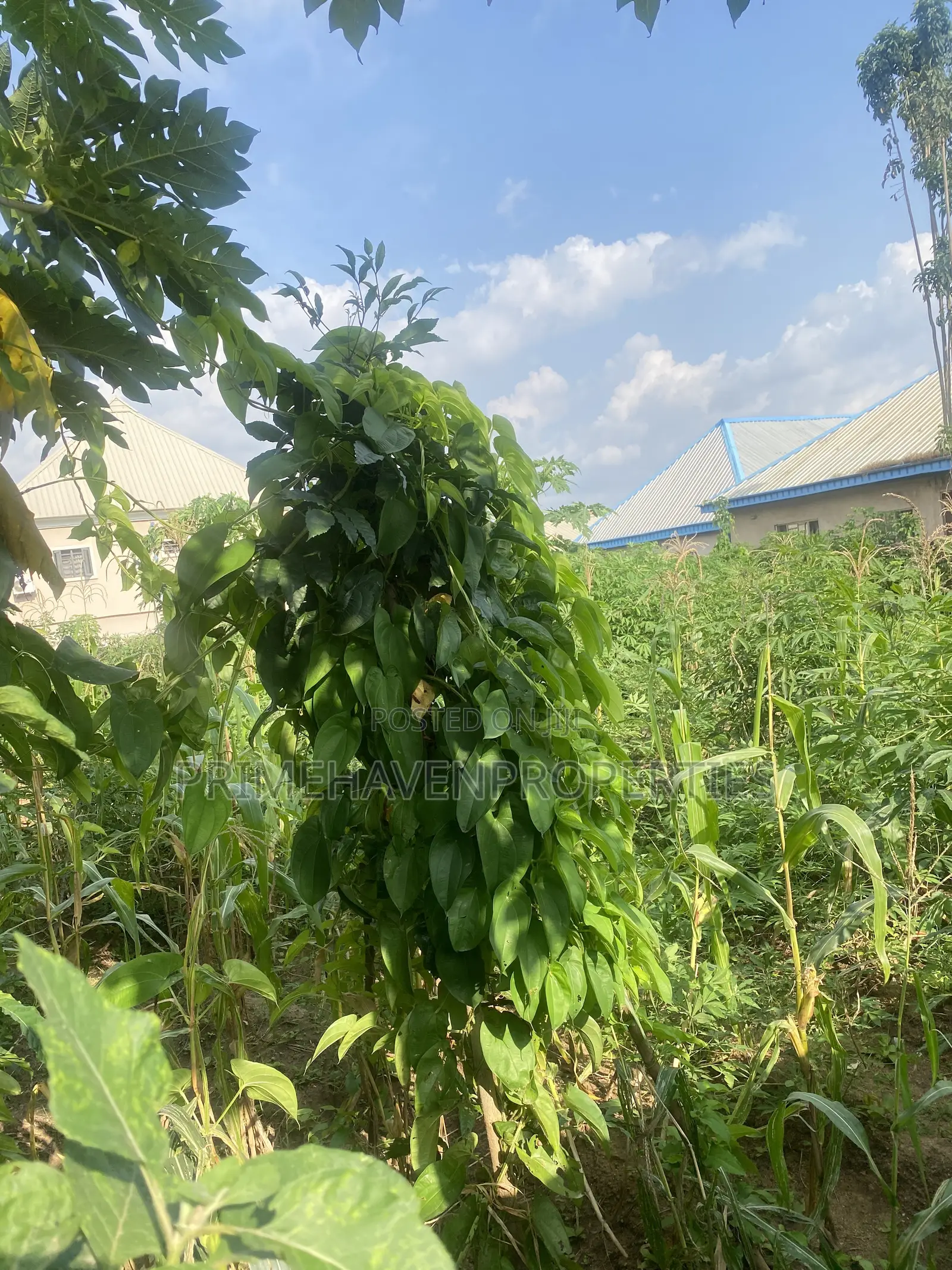 Hot Flat Land for Sale at Arab Road, Kubwa Abuja