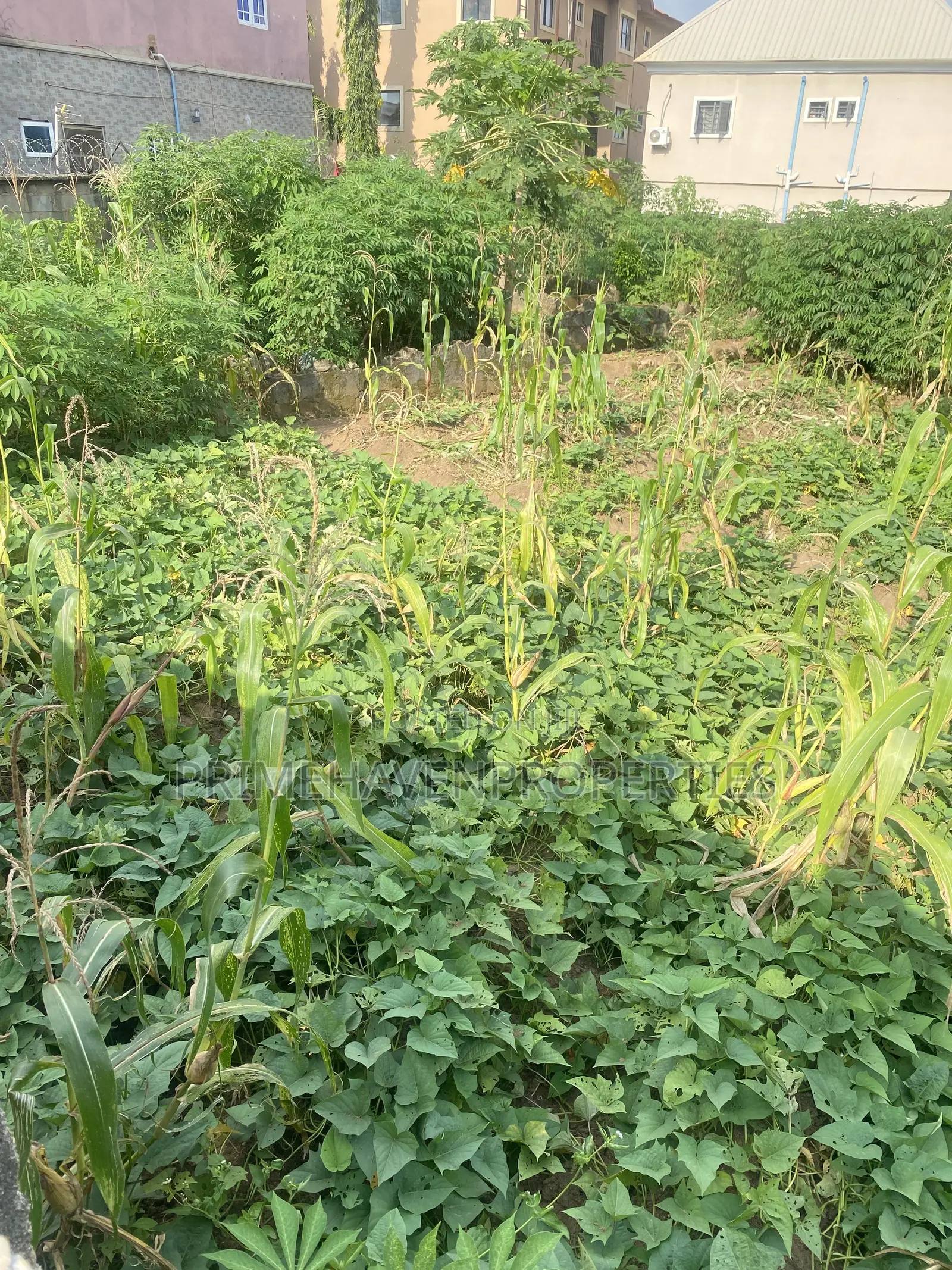 Hot Flat Land for Sale at Arab Road, Kubwa Abuja