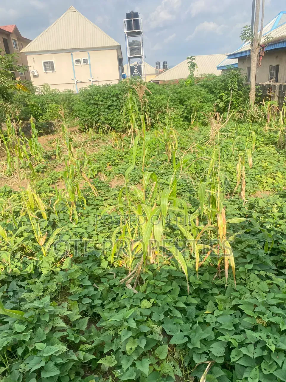 Land for Sale in Arab Road Kubwa.