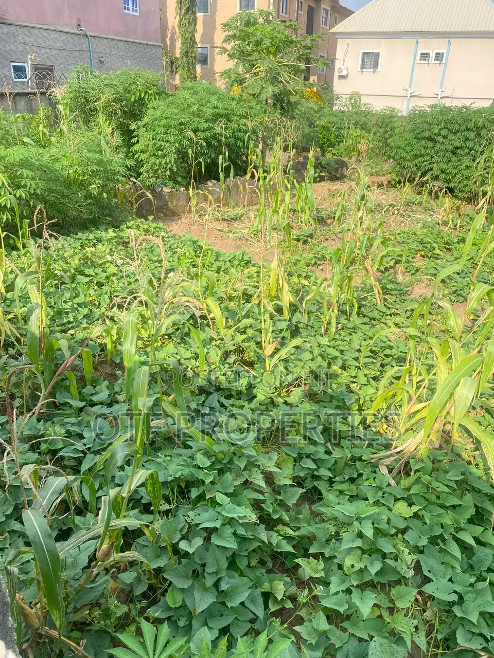 Land for Sale in Arab Road Kubwa.