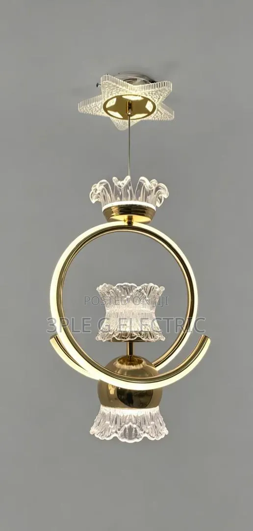 Gold Body Led Pendant