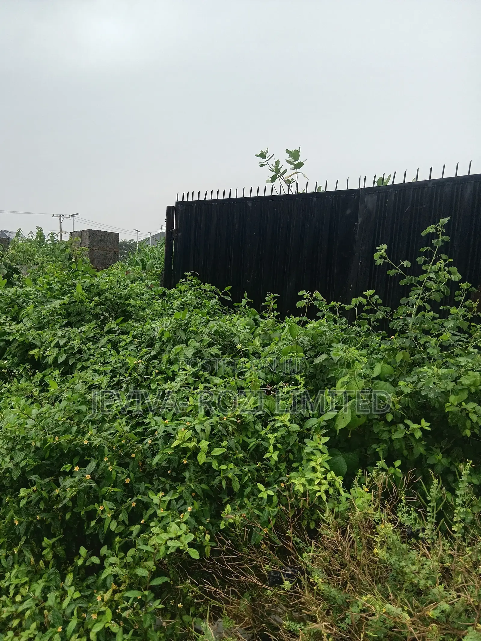 Certificate of Occupancy