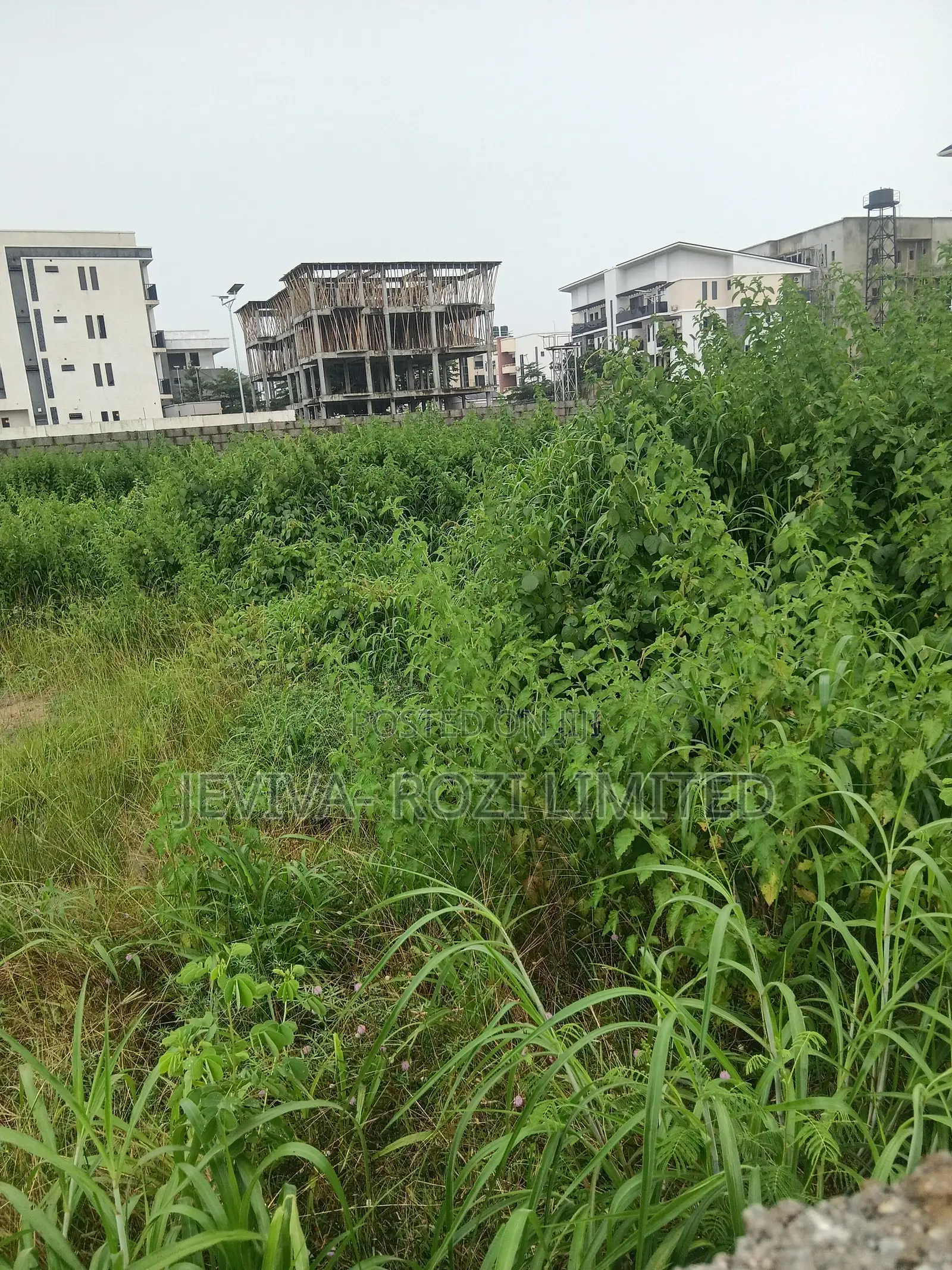 Certificate of Occupancy