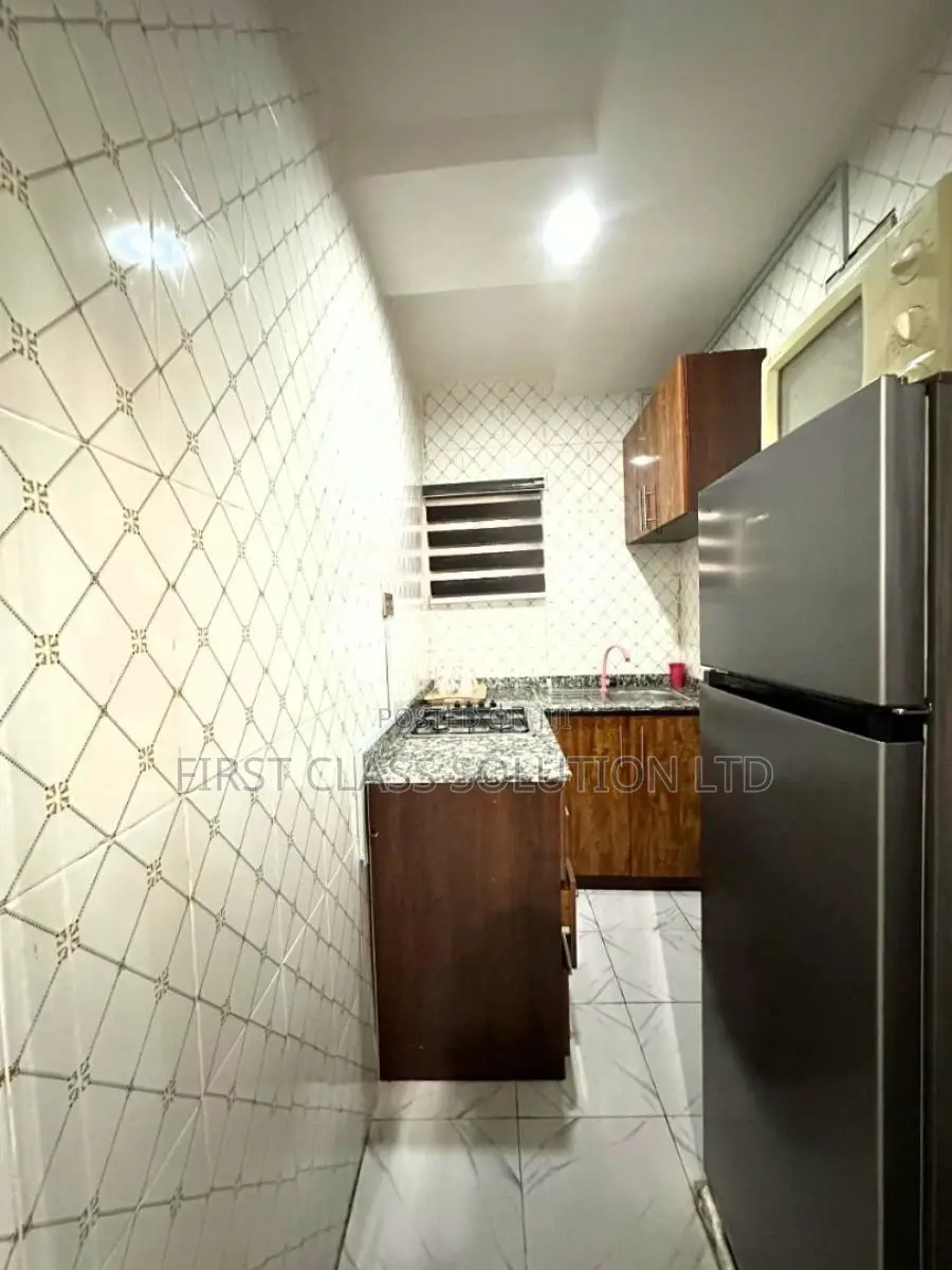 Nicely Furnished and Well Serviced Luxury 2 Bedroom Apartment