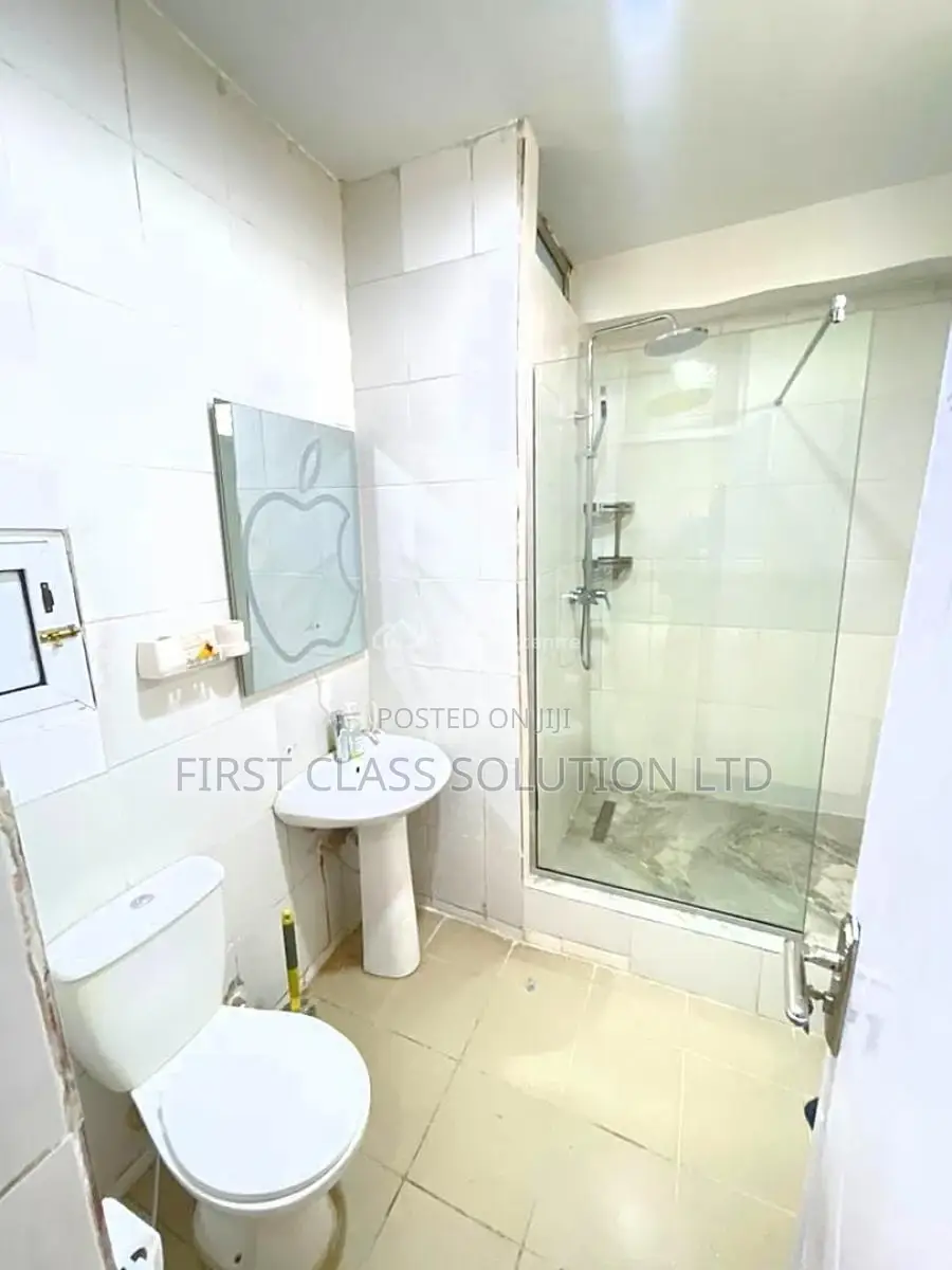 Neatly Furnished and Fully Serviced Luxury 3 Bedroom Duplex Apartment