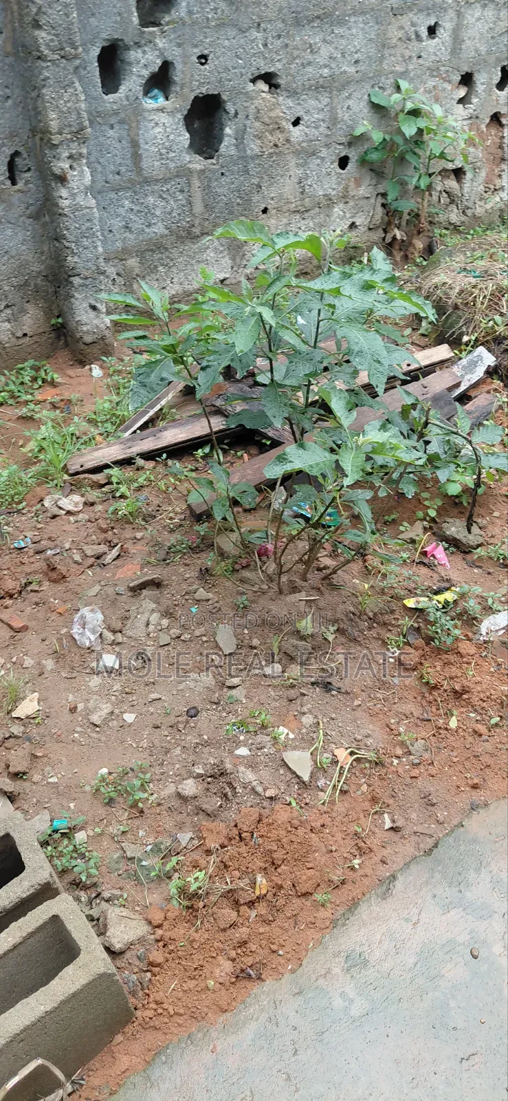 16,000sqm (4Acers) Facing Ikorodu Rd With Large Warehouse