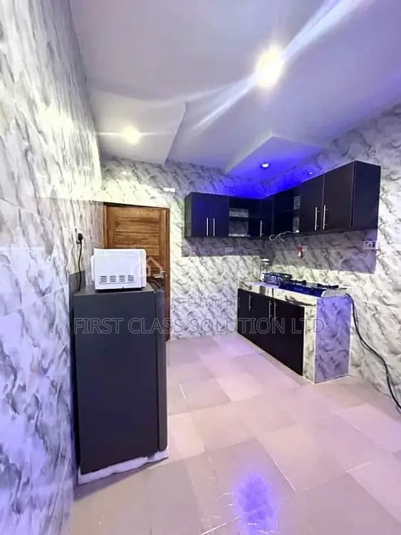 Tastefully Furnished and Serviced Luxury 3 Bedroom Apartment