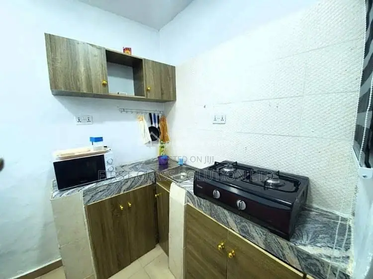 Cozy and Comfortable Luxury Studio Apartment