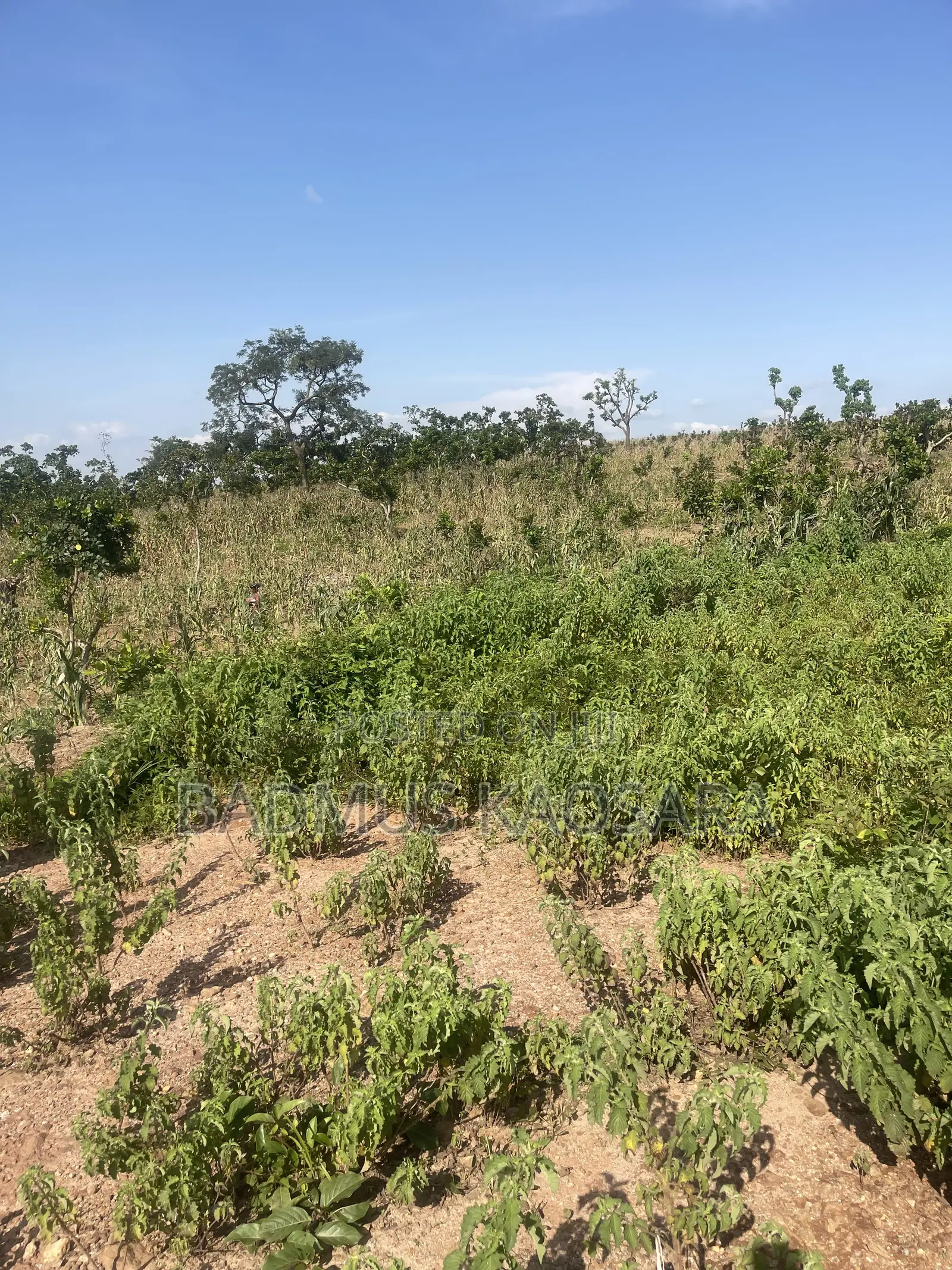 Spacious Residential Land for Sale