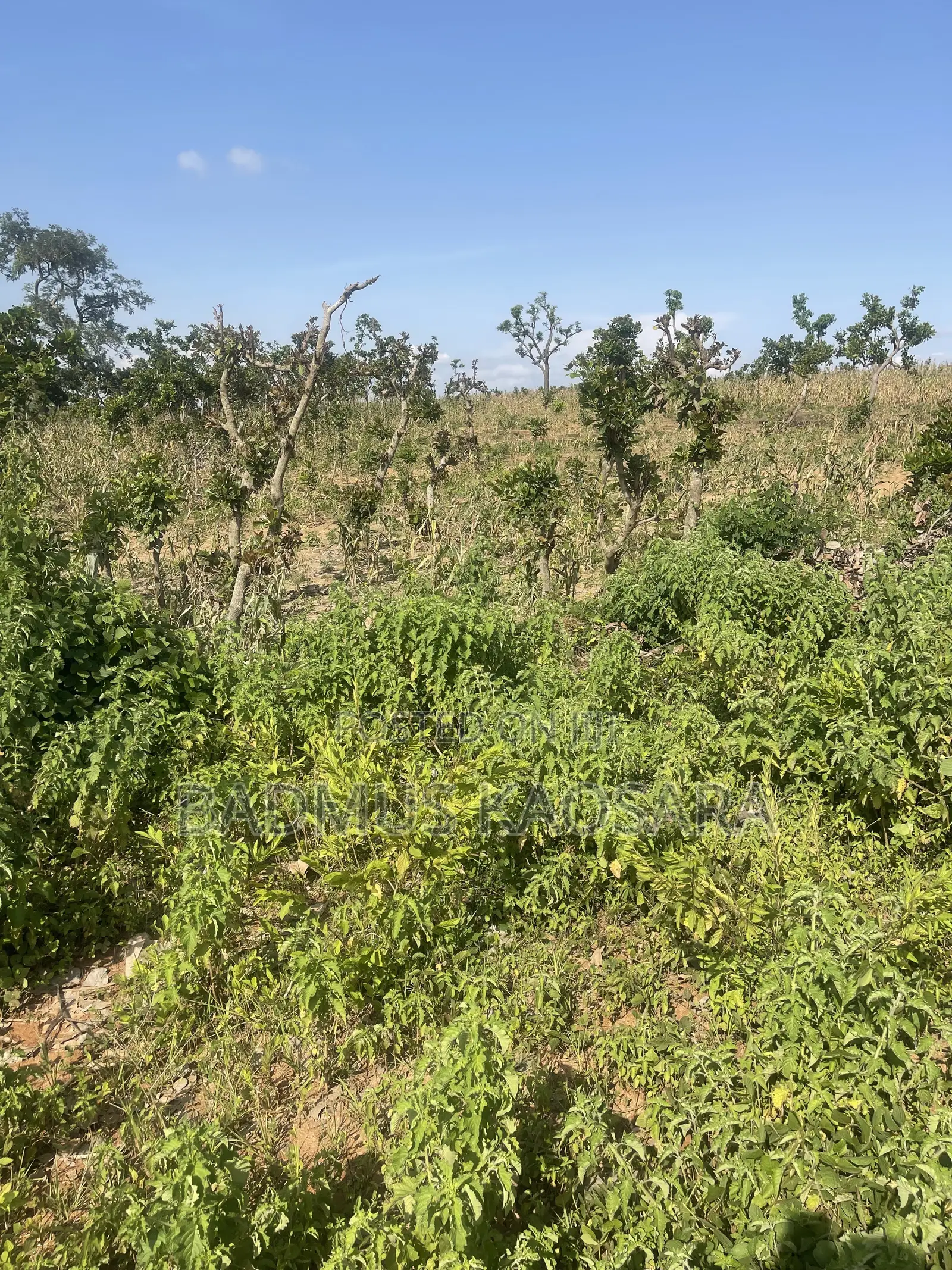 Spacious Residential Land for Sale