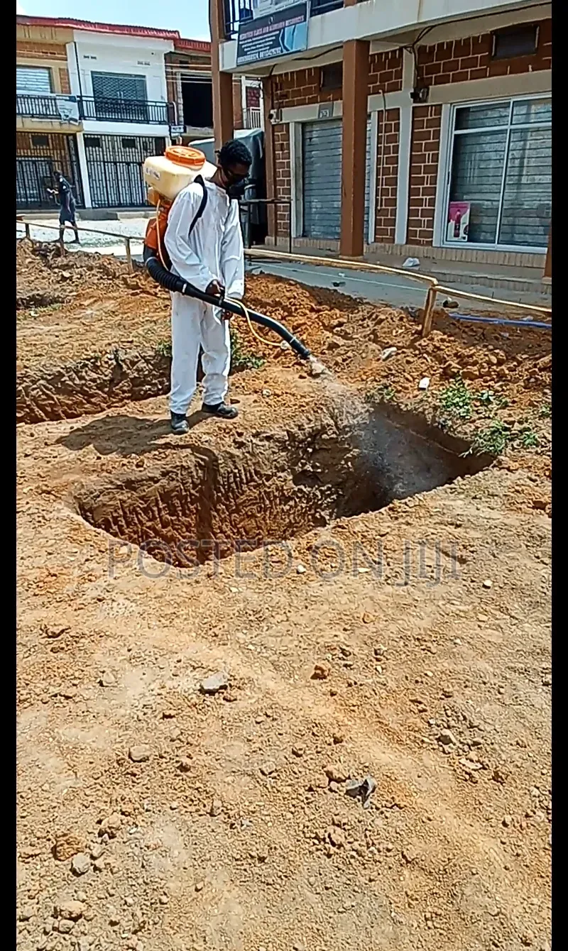 Termite Control Service