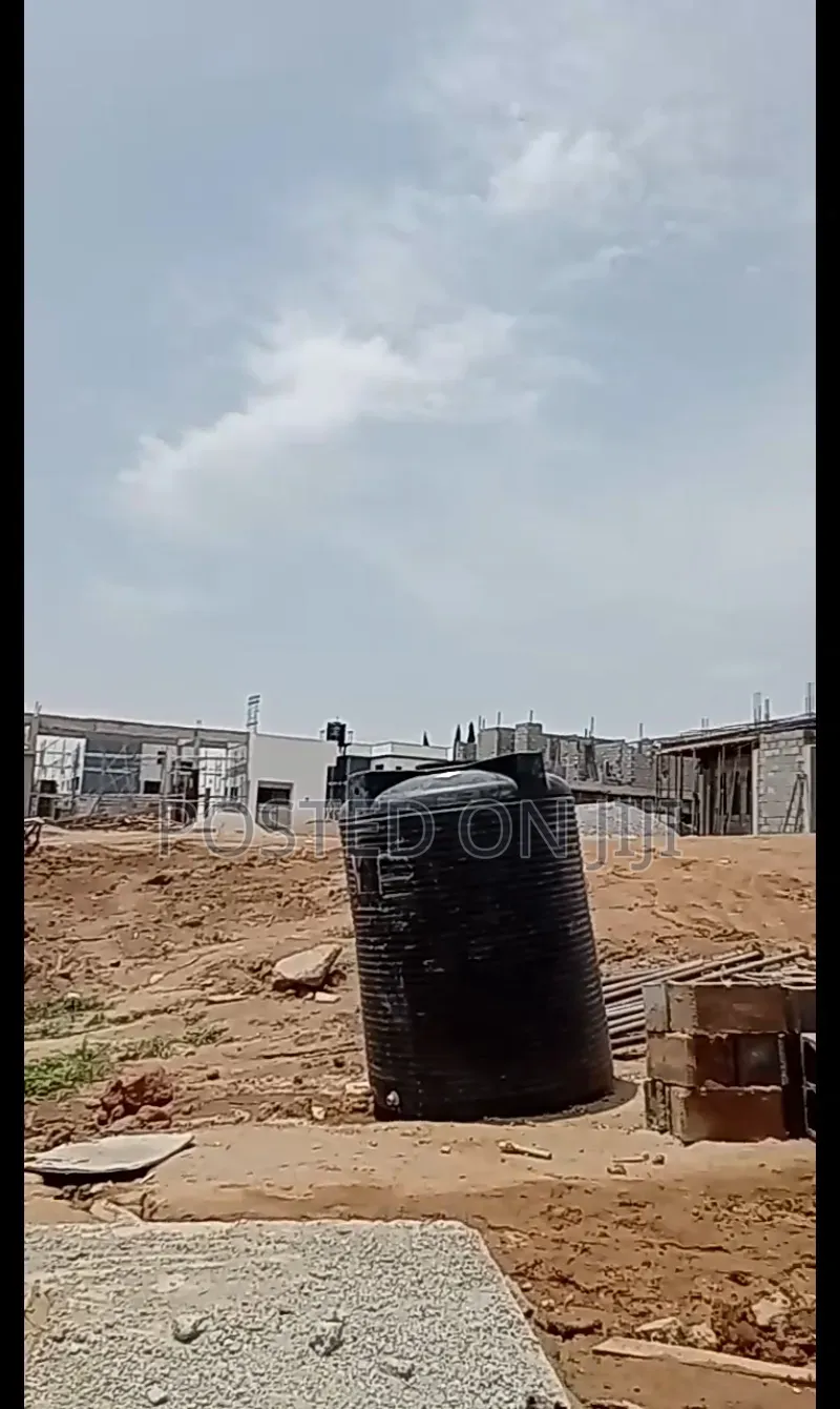 Termite Control Service
