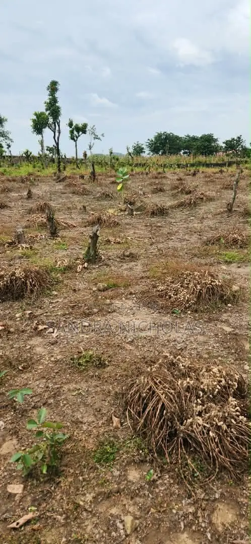 200 Square Meter Estate Plot for 3 Bedroom Terrace Duplex