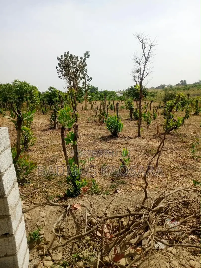 Prime Estate Land for Sale