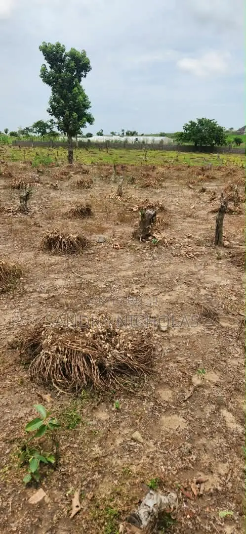 350 Square Meter Estate Plot for a 3 Bedroom Bungalow and BQ