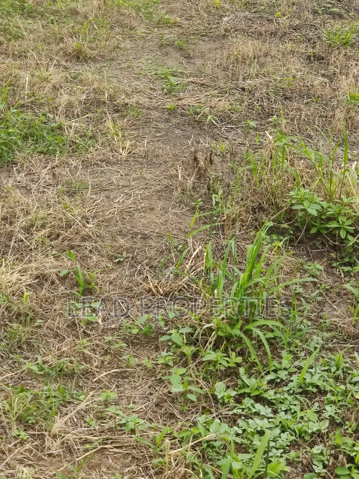 Three Plots Land for Sale in Alagbaka GRA Extension