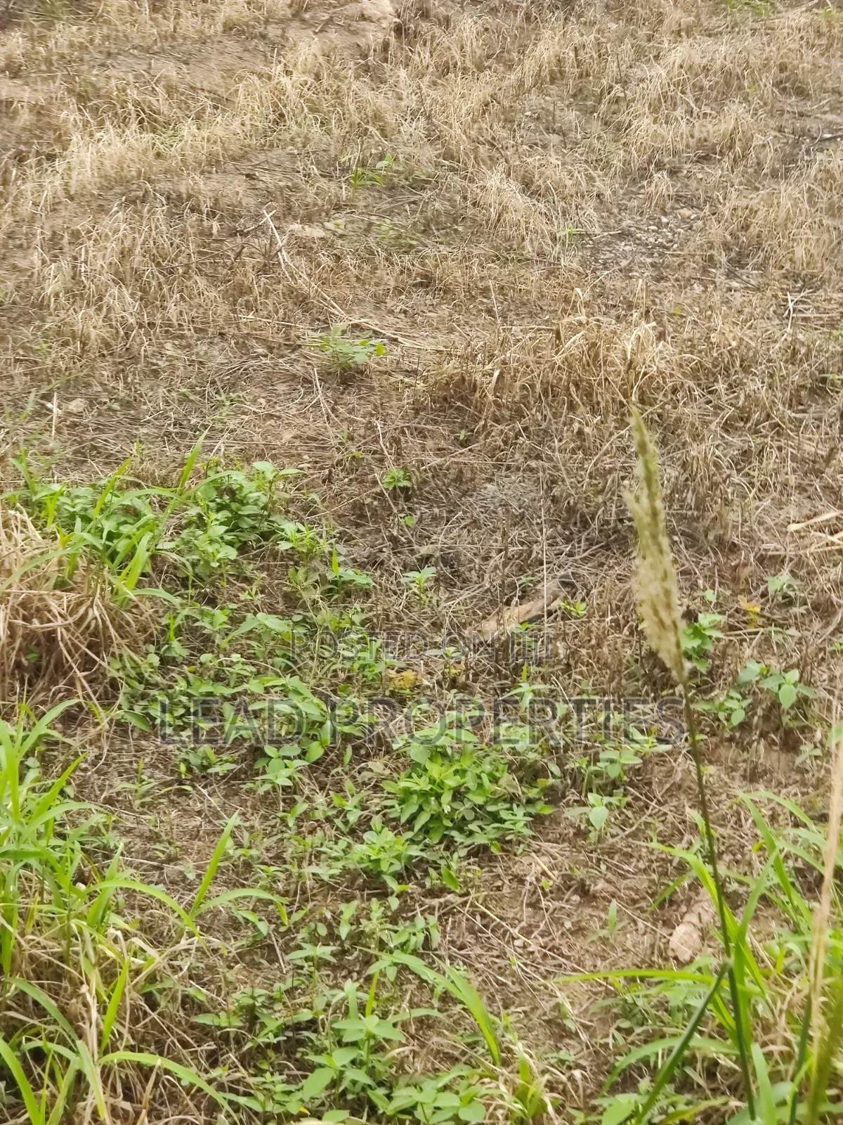 Three Plots Land for Sale in Alagbaka GRA Extension