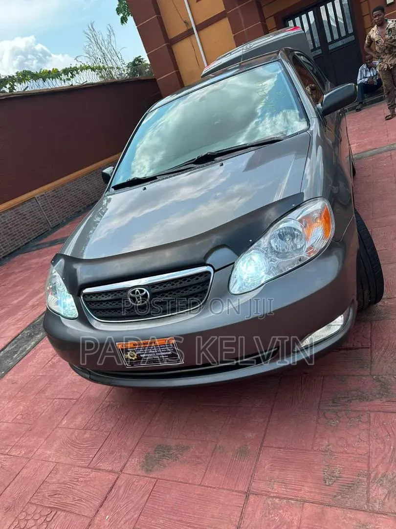 Toyota Corolla LE 2007 Gray