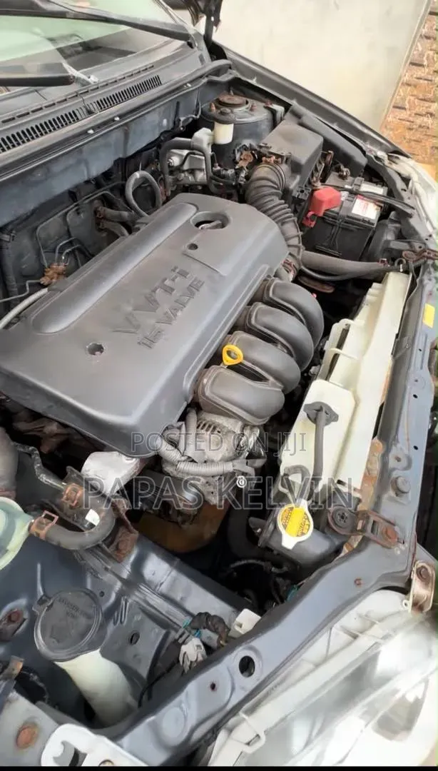 Toyota Corolla LE 2007 Gray