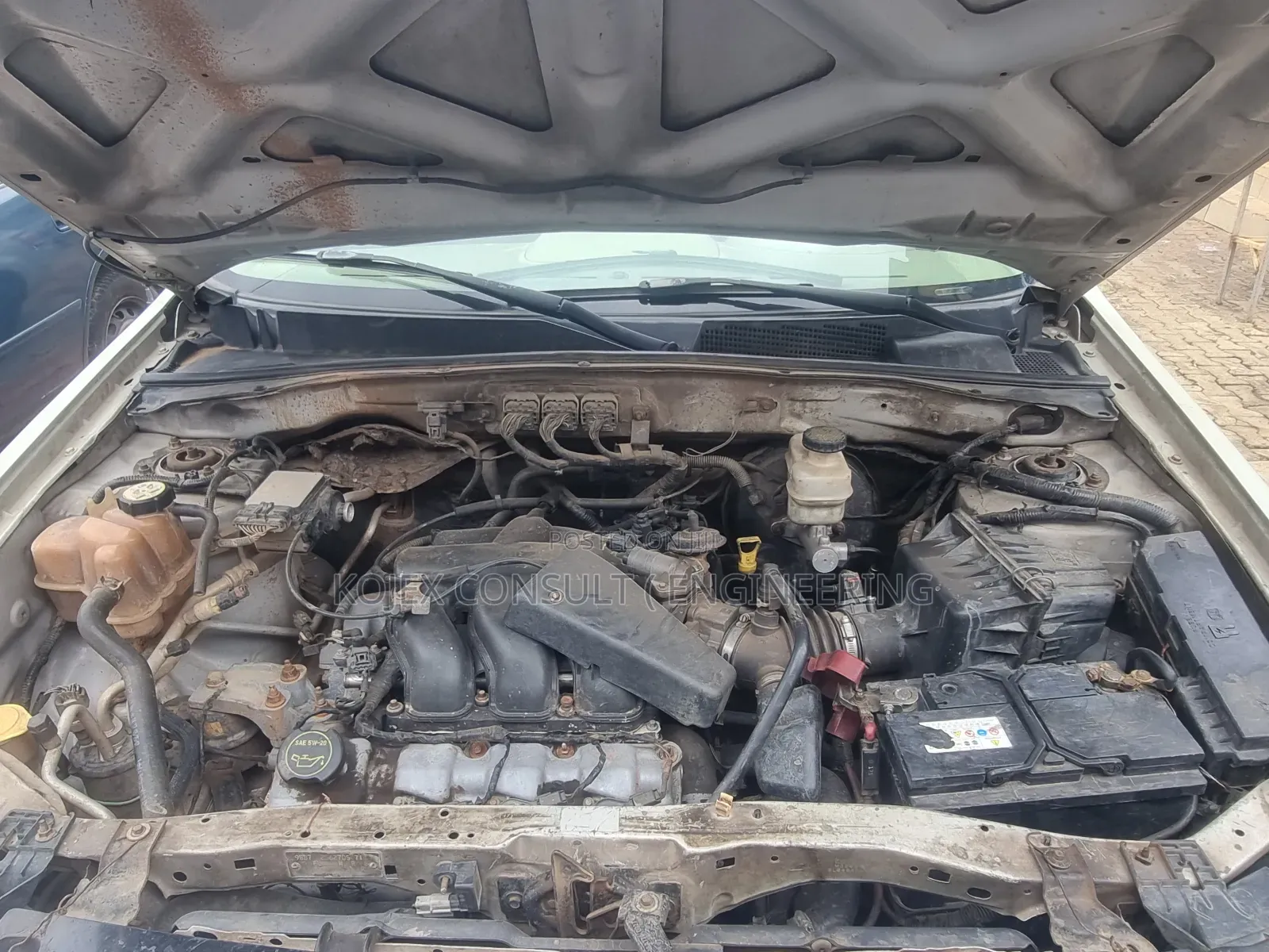 Ford Escape 2008 White