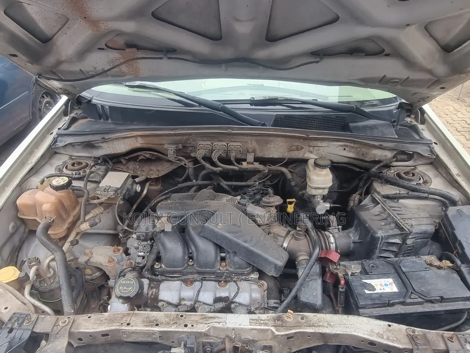 Ford Escape 2008 White