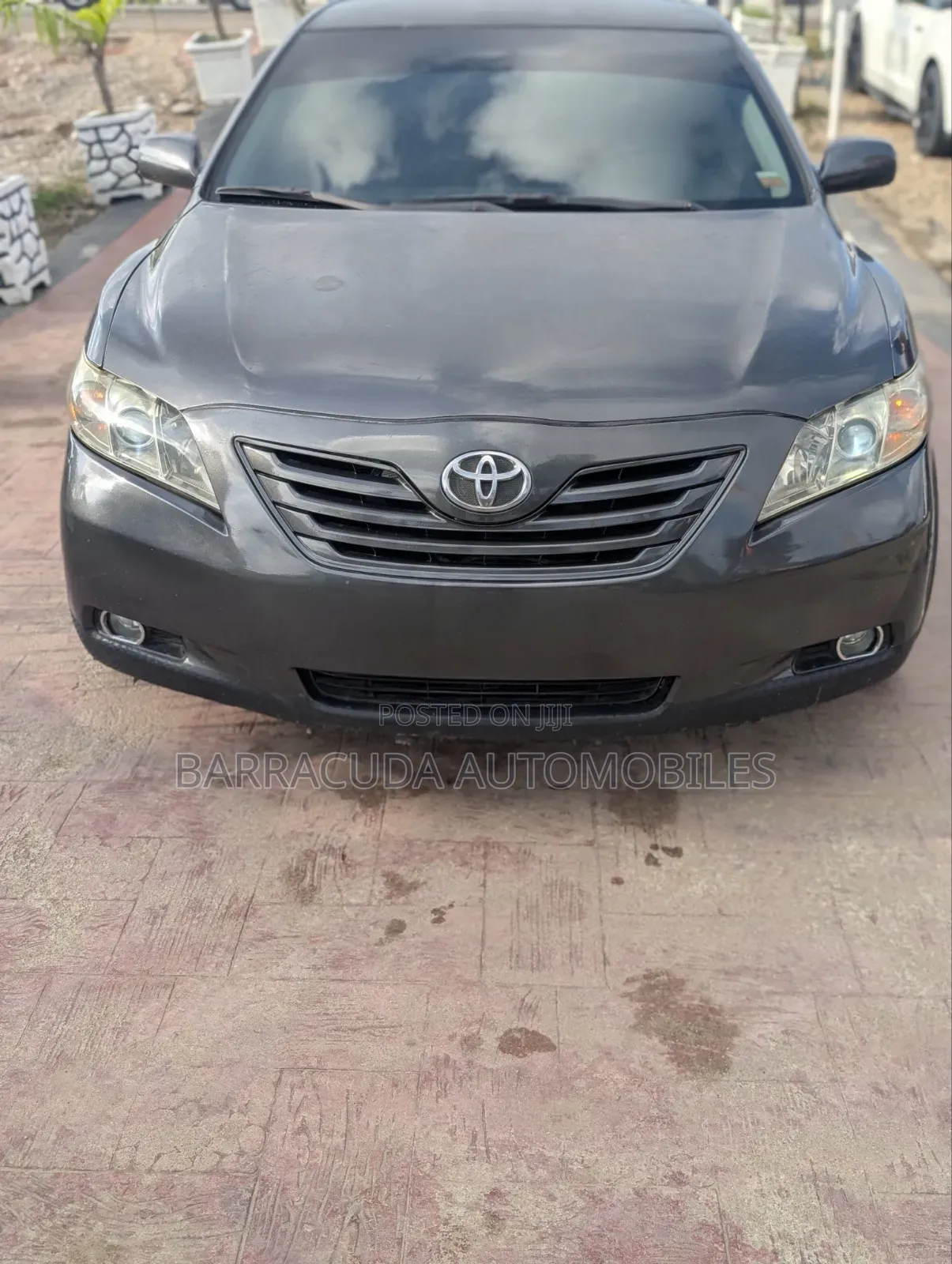 Toyota Camry LE 4dr Sedan (2.4L 4cyl 5A) 2008 Gray