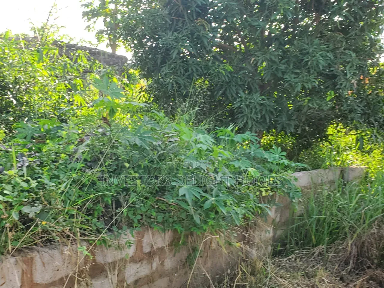 Landed Property for Sale