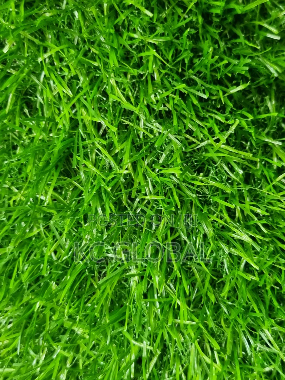 Turkey Quality Grass