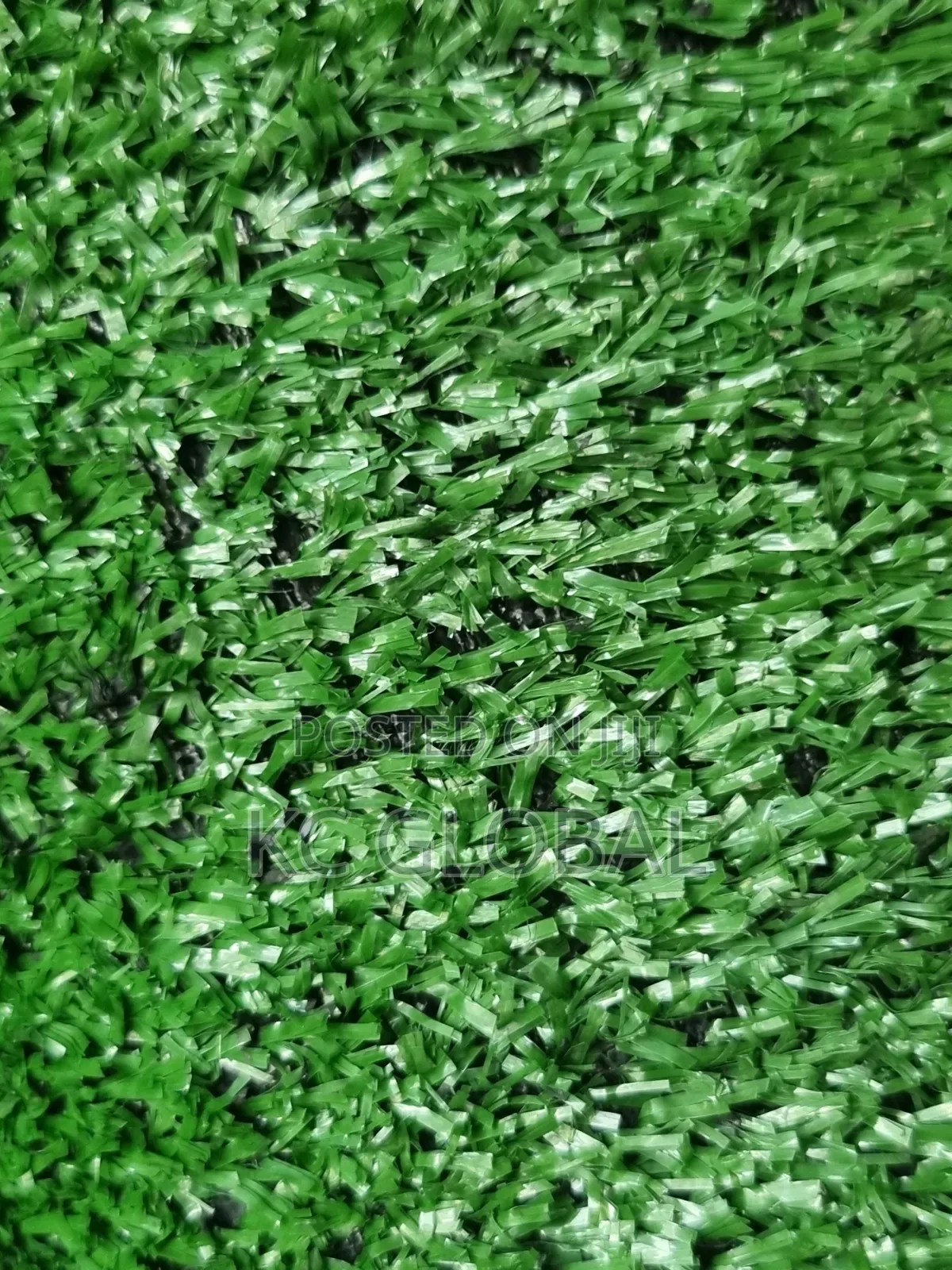 Turkey Quality Grass