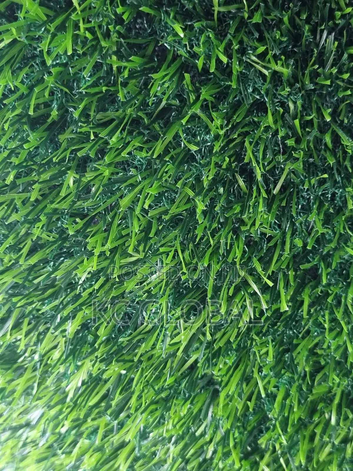 Turkey Quality Grass