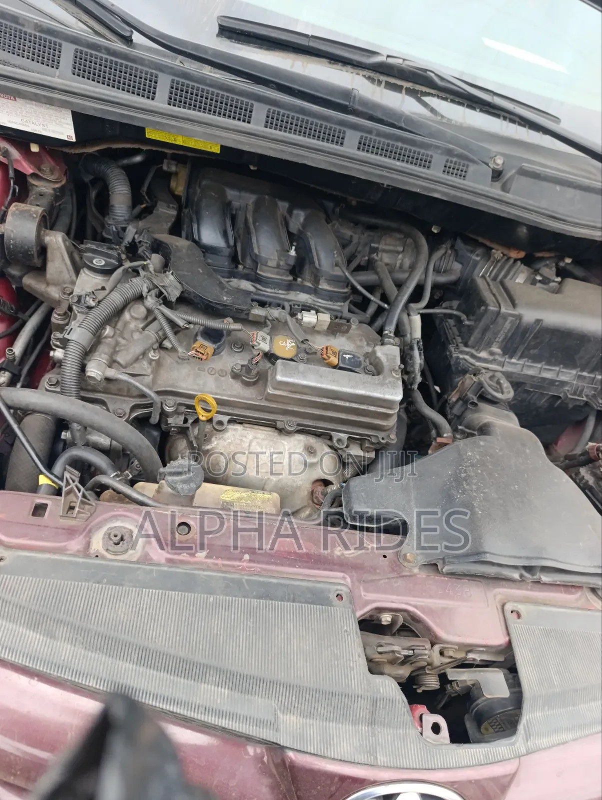 Toyota Sienna XLE 2007 Purple