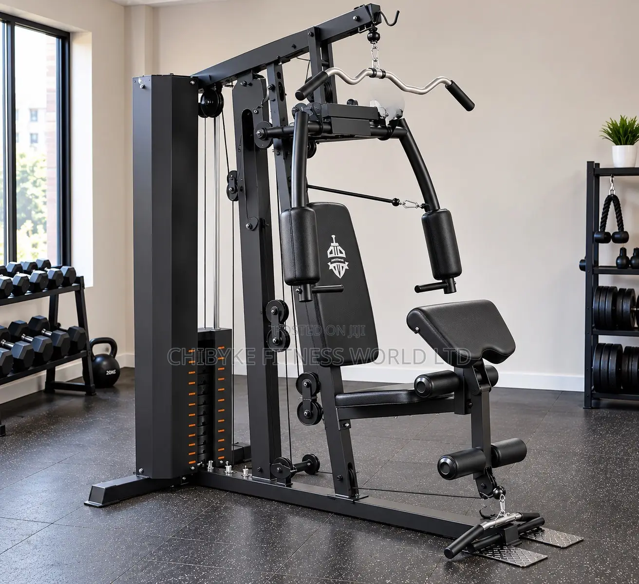 Multi Station Gym ( Made in Germany )