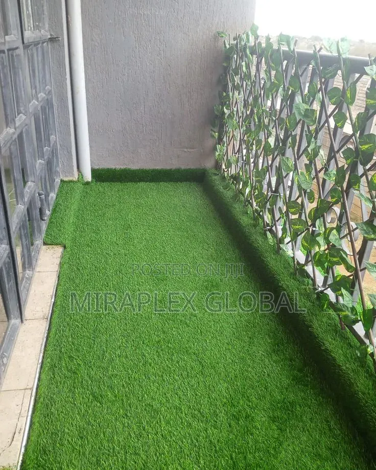 Premium Carpet Grass for Compound Landscaping