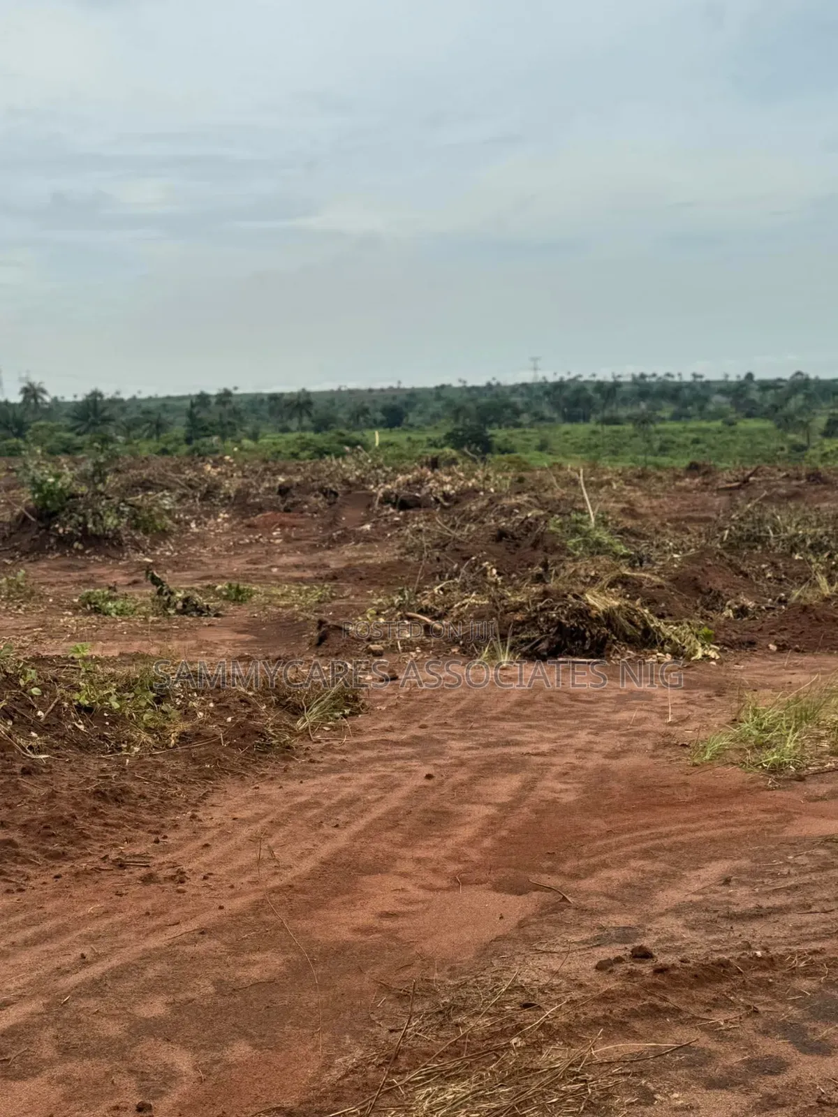 Landed Property in Ibusa Asaba Delta State for Sale