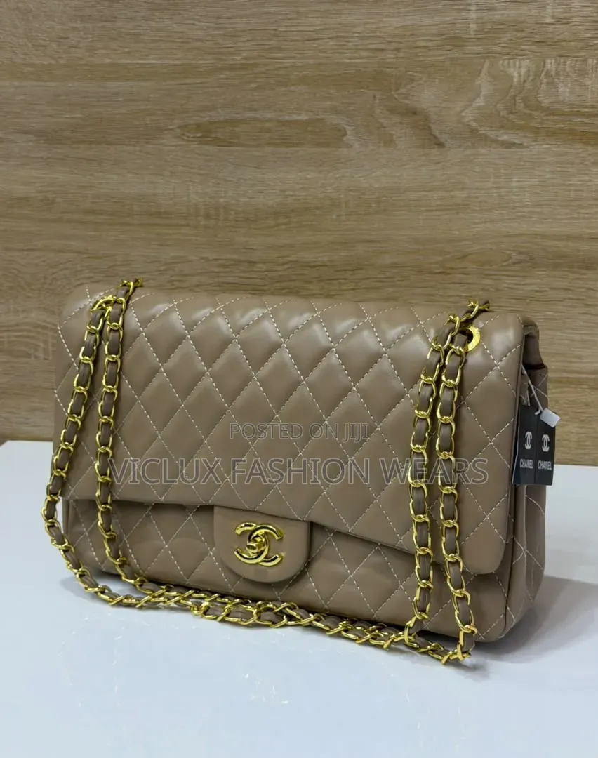 Chanel Luxury Ladies Bag