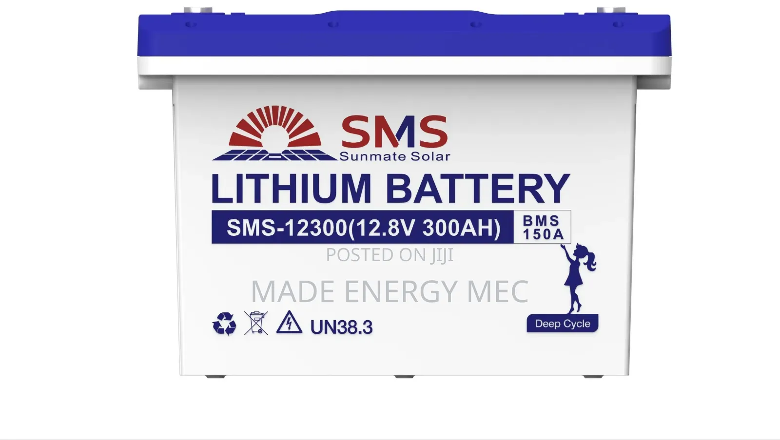 SMS SUNMATE SOLAR 12.8V 300Ah LiFePO4 Lithium Battery – 3.84kWh