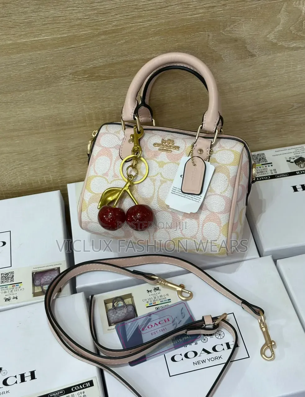 Coach Rowan Luxury Mini Bag