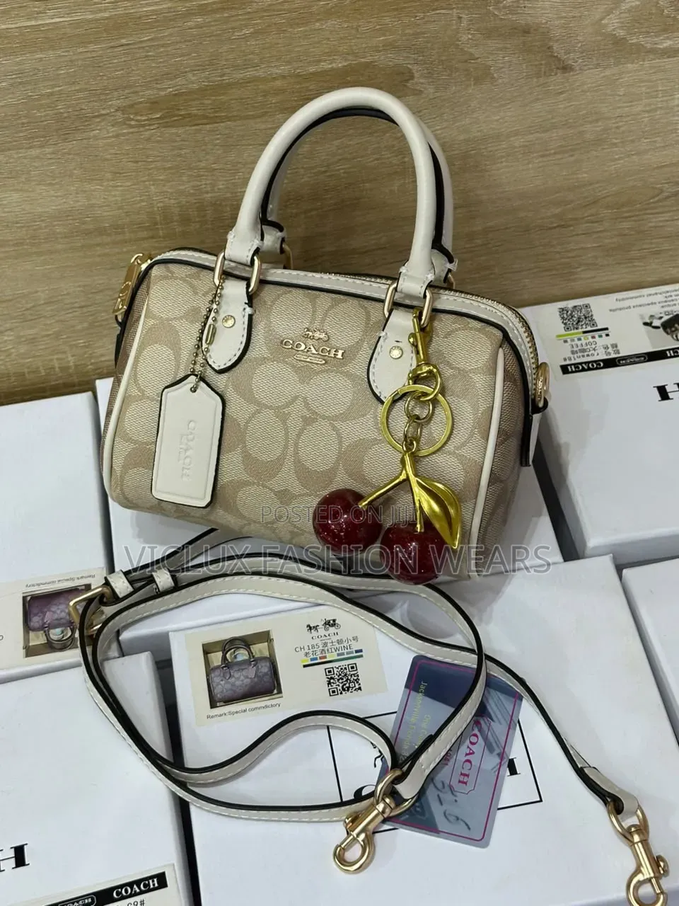 Coach Rowan Luxury Mini Bag