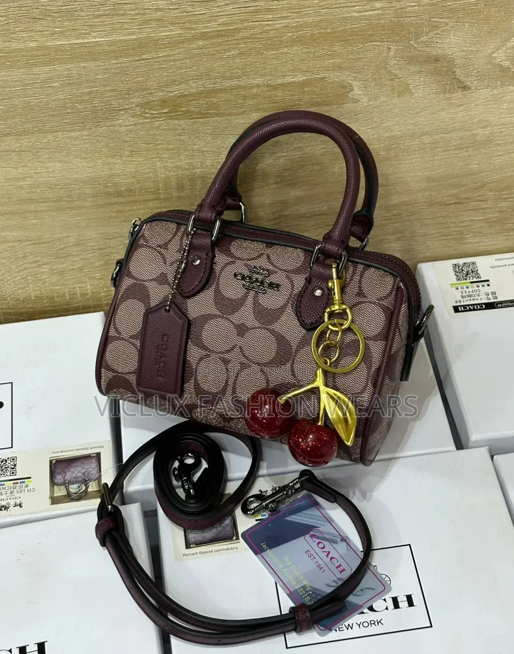 Coach Rowan Luxury Mini Bag